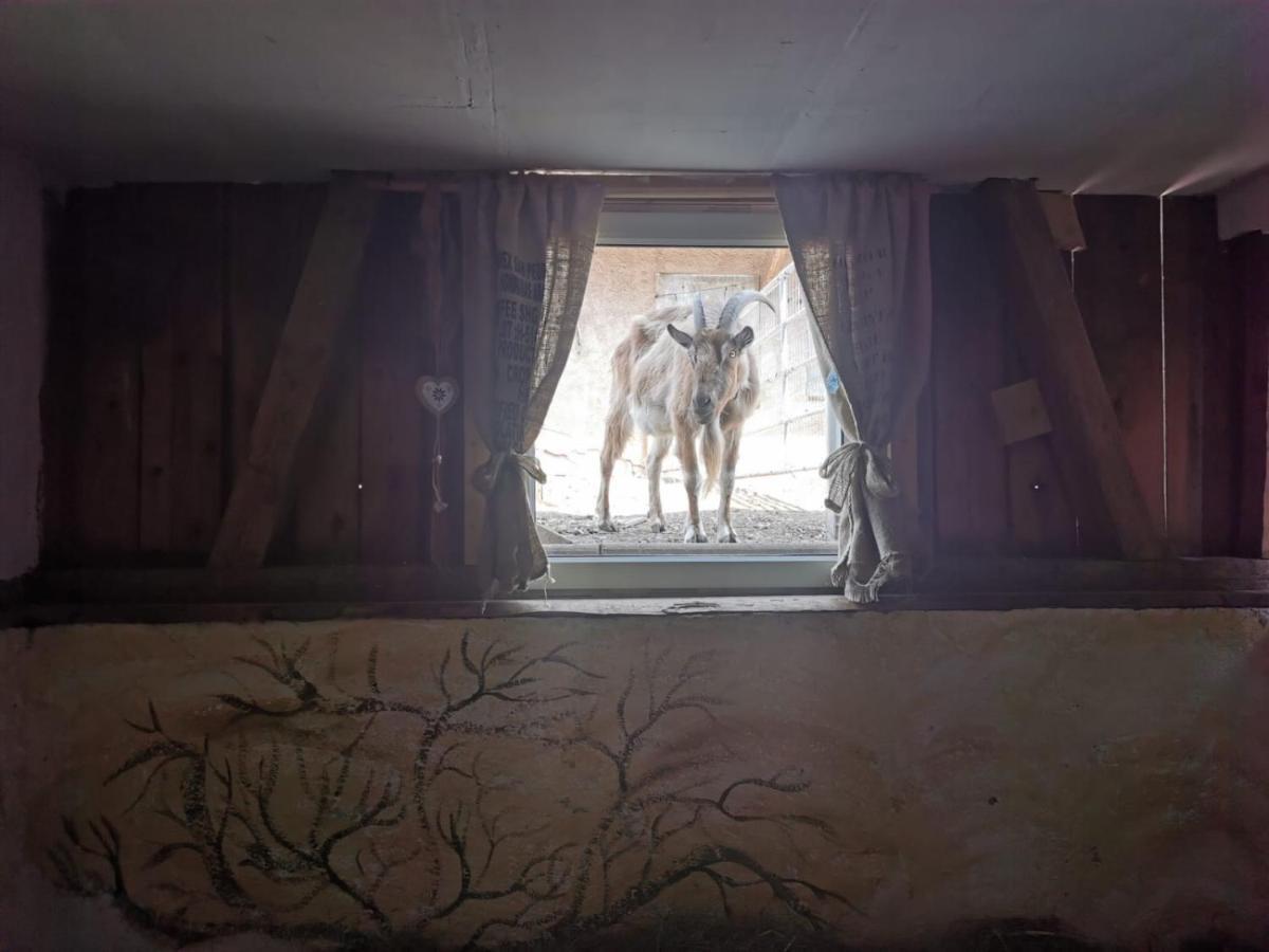 Heuhotel Beim Gnadenhof Murrhardt Dış mekan fotoğraf